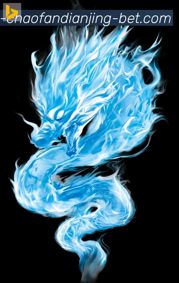 未来规划